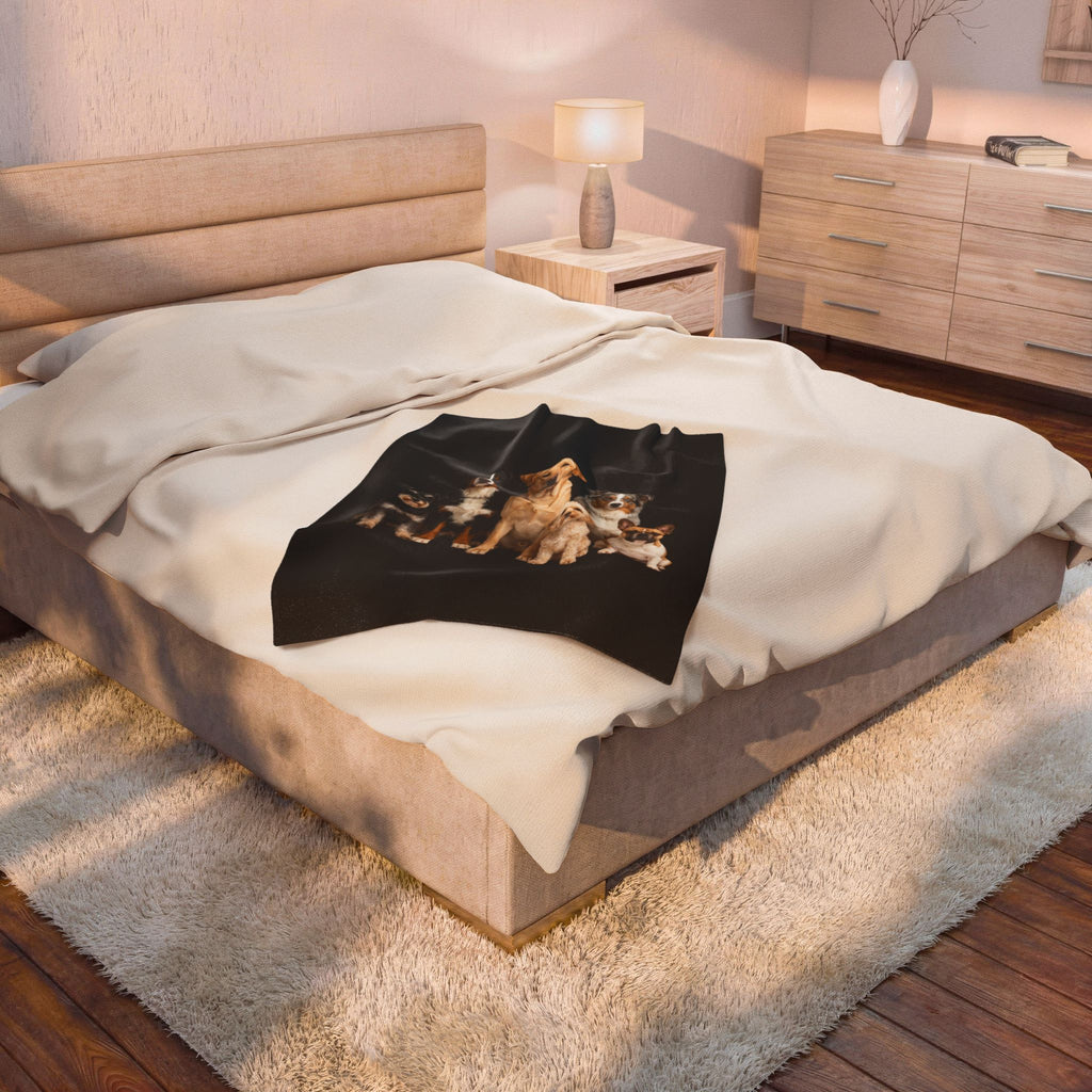 Velveteen Plush Blanket