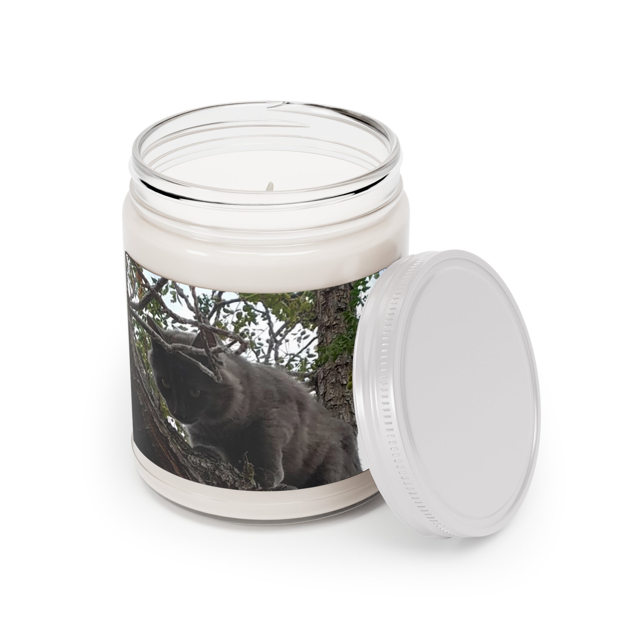 Cat in Tree Scented Soy Candle