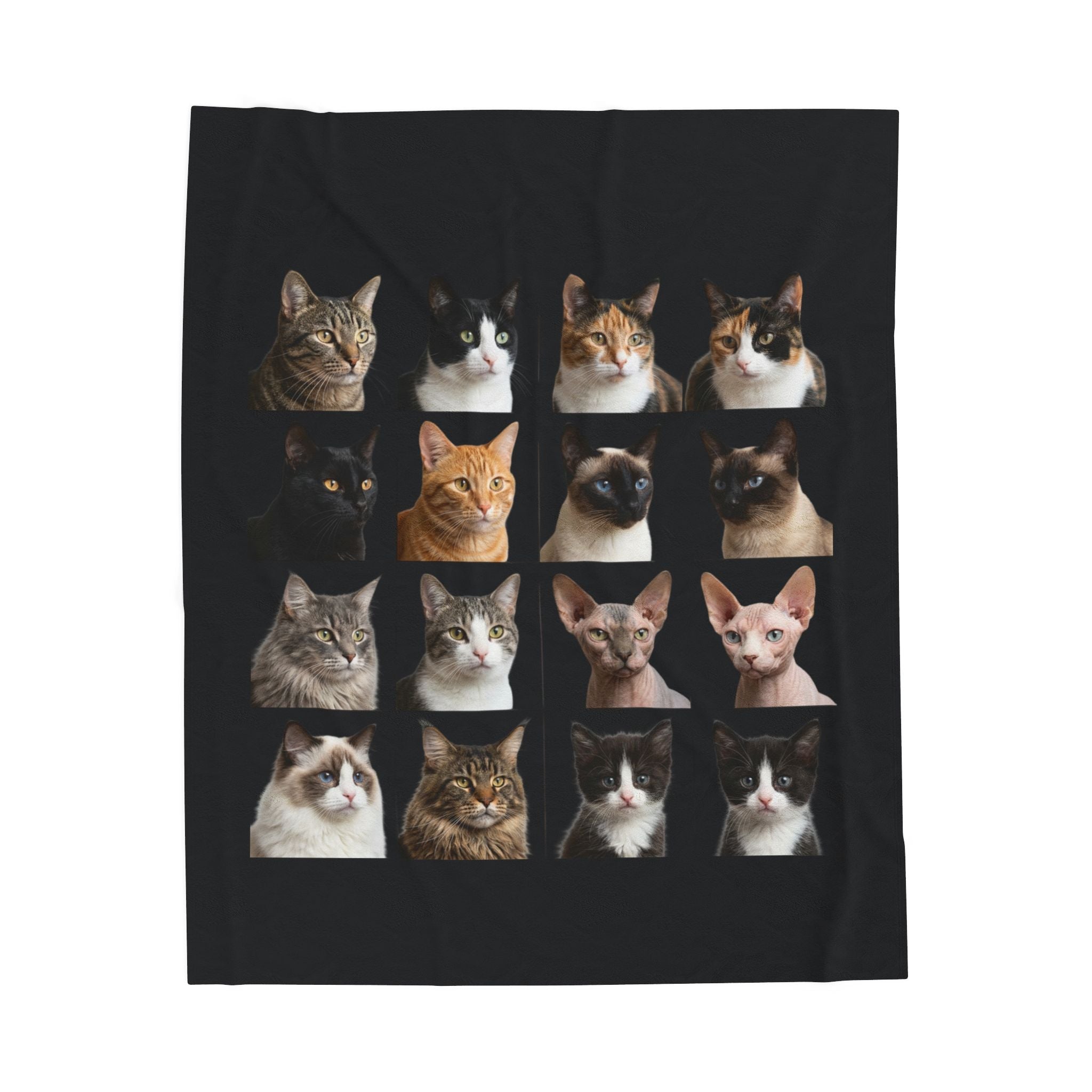 Velveteen Plush Blanket