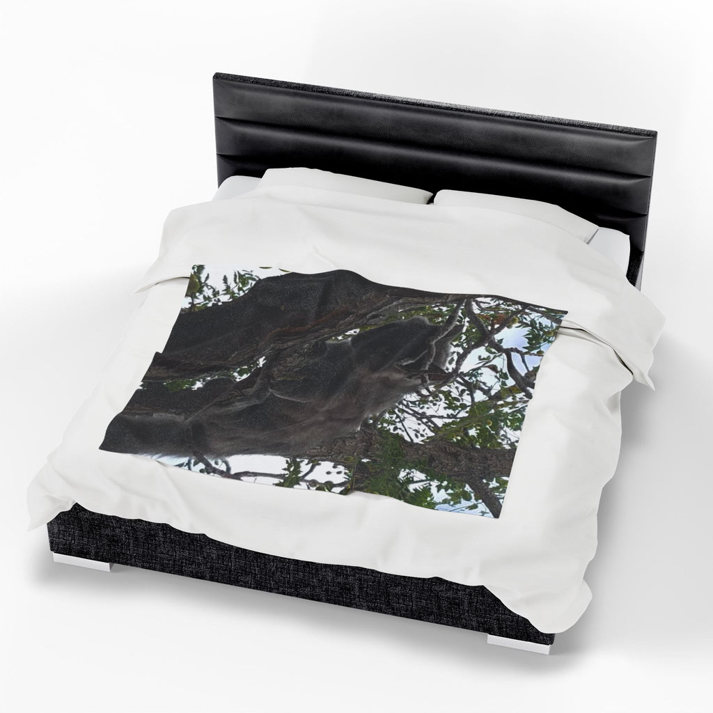 Velveteen Plush Blanket - Cat in Tree