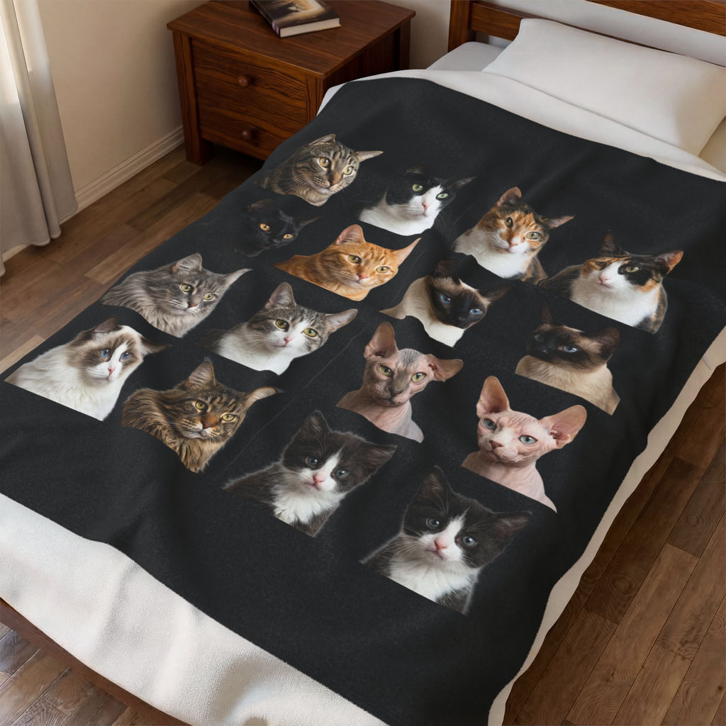 Velveteen Plush Blanket