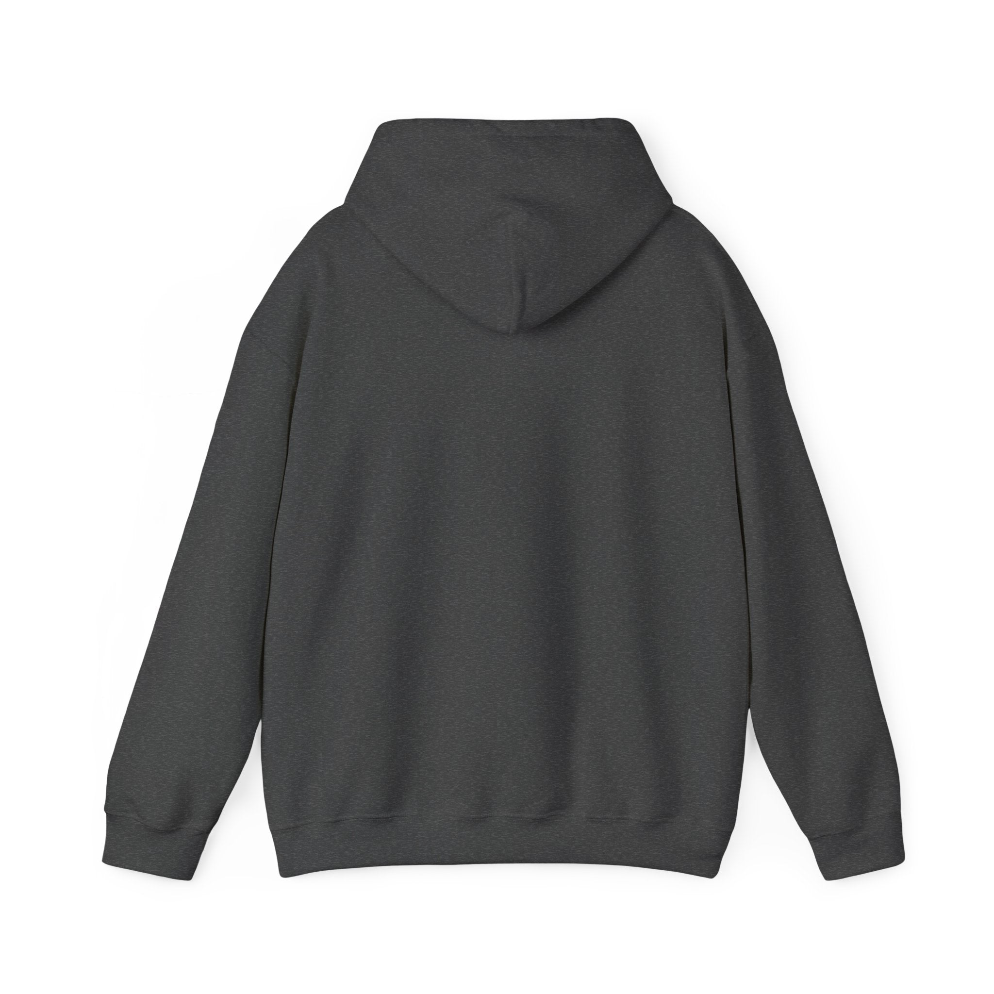 OBTEMPER Unisex Heavy Blend™ Hooded Sweatshirt