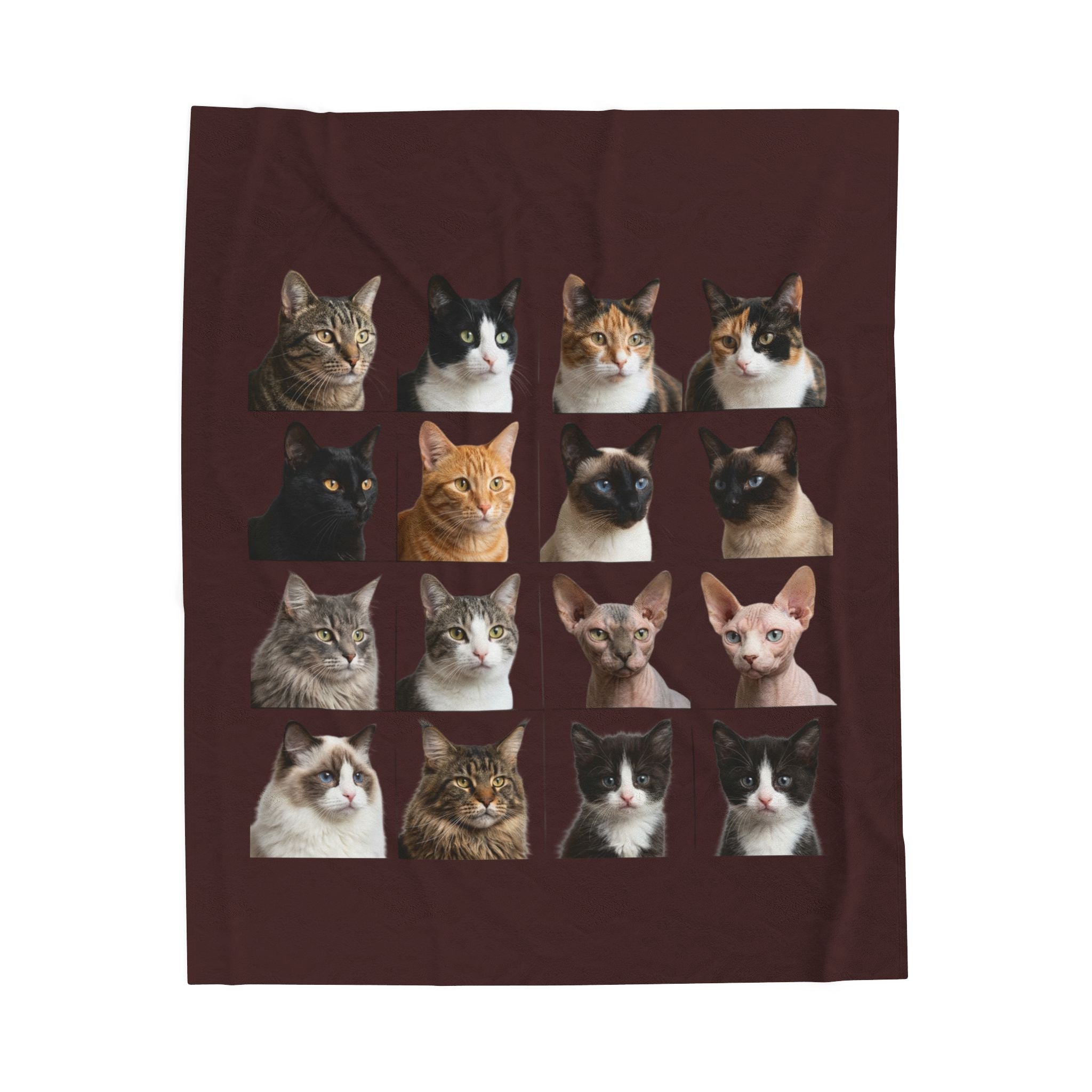 CAT LOVERS Velveteen Plush Blanket