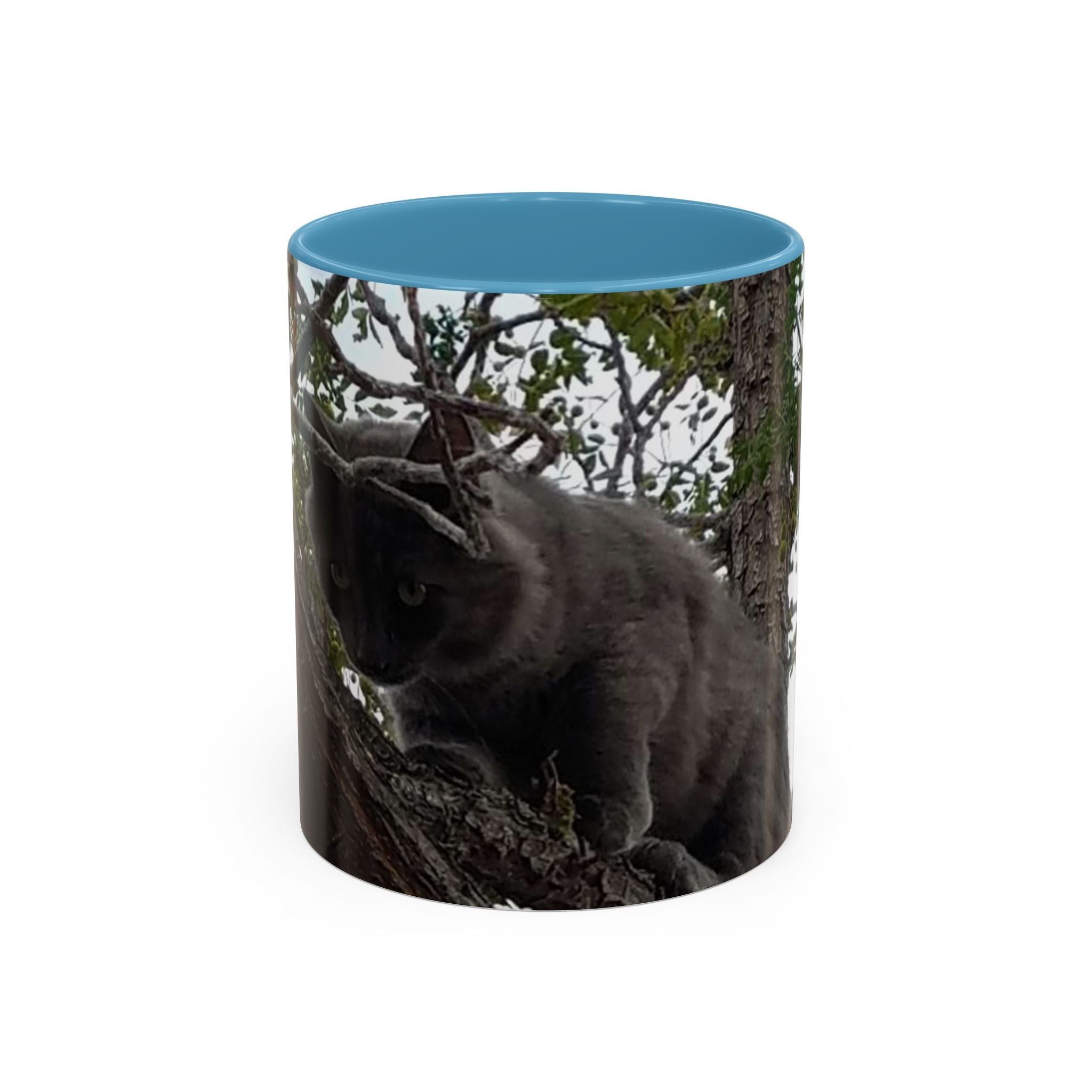 Cat in a Tree Accent Coffee Mug (11oz, 15oz)