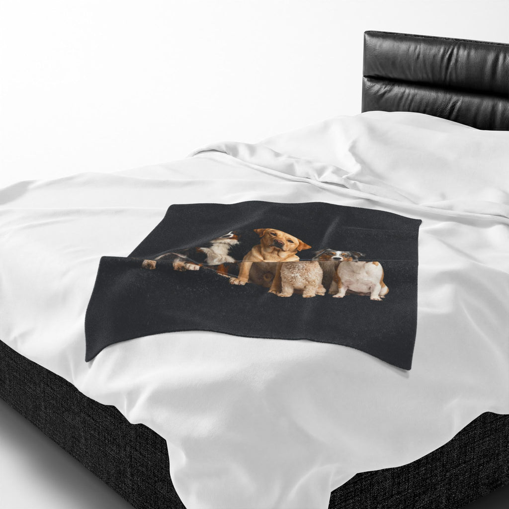 Velveteen Plush Blanket