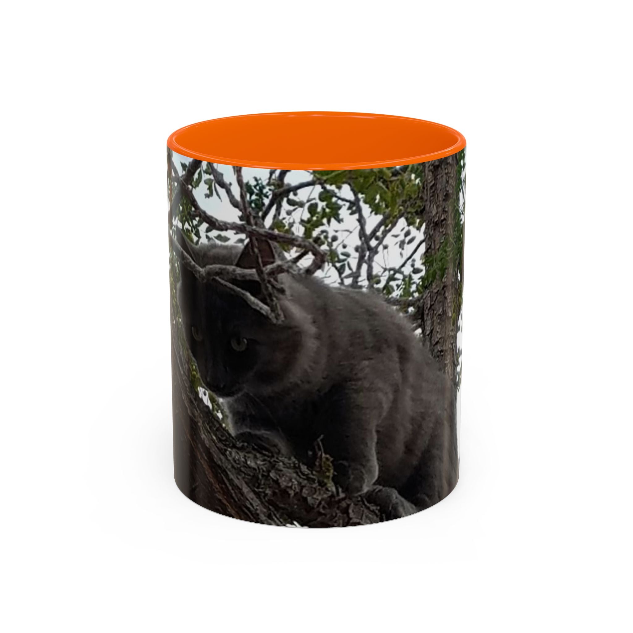 Cat in a Tree Accent Coffee Mug (11oz, 15oz)