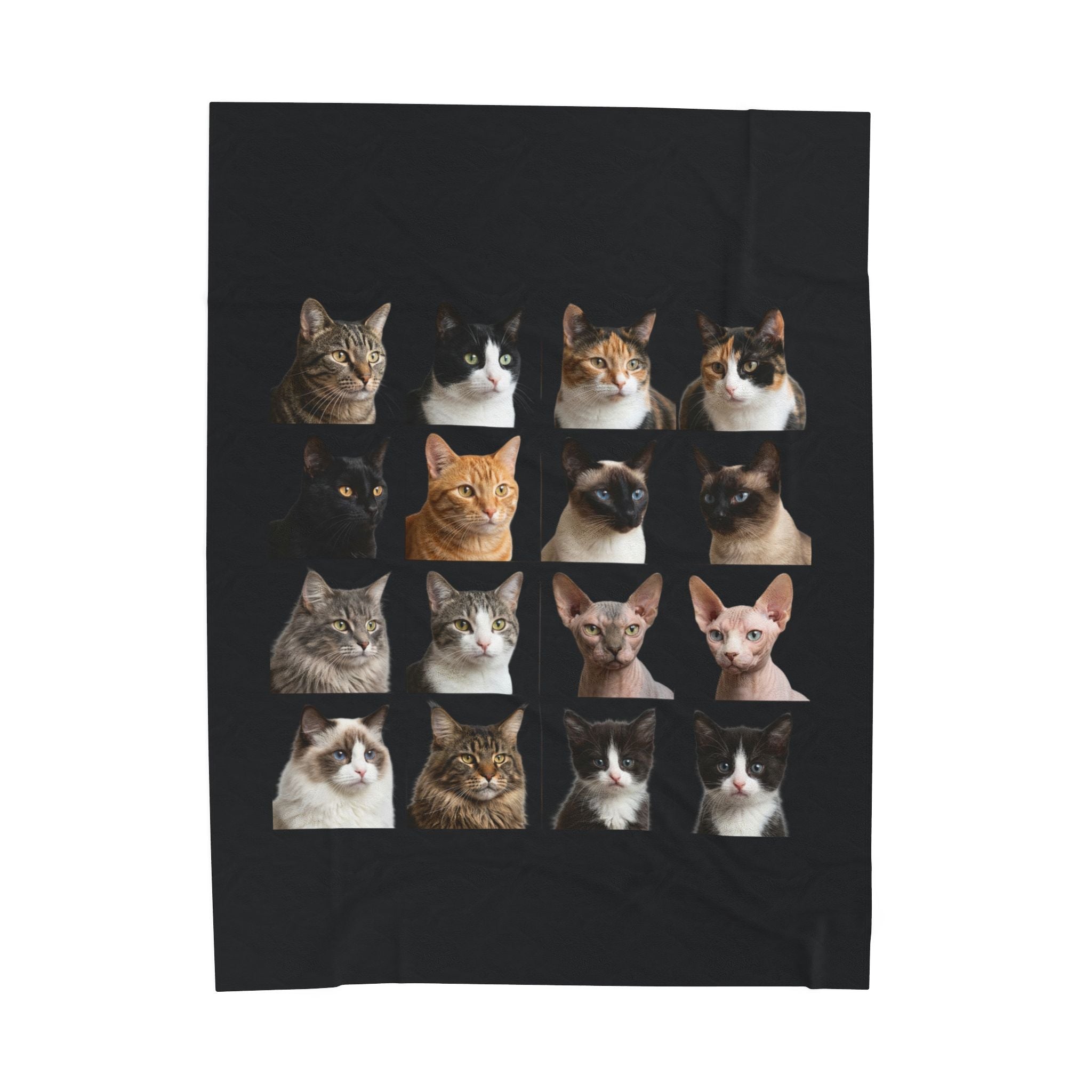 Velveteen Plush Blanket