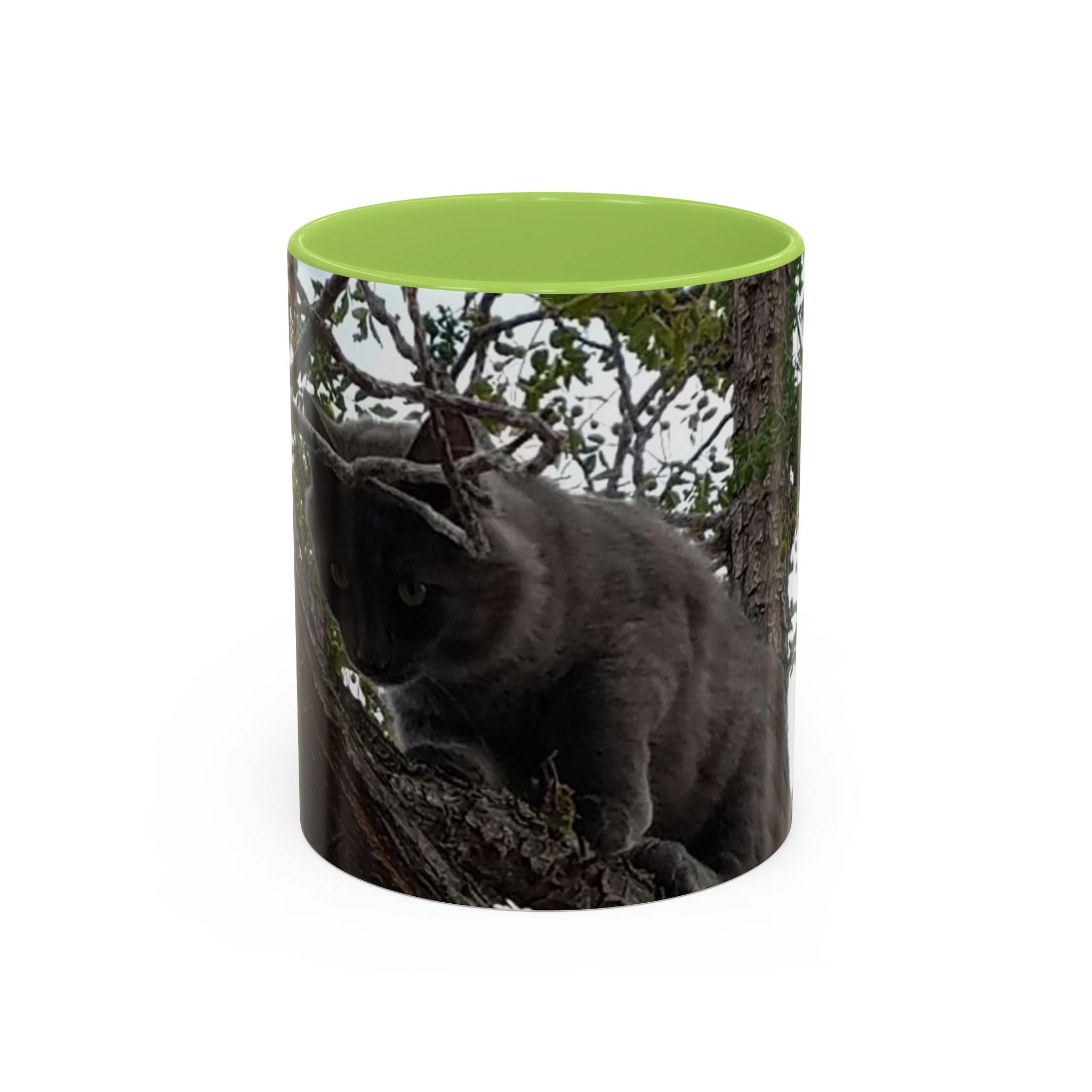Cat in a Tree Accent Coffee Mug (11oz, 15oz)