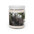 Cat in Tree Scented Soy Candle