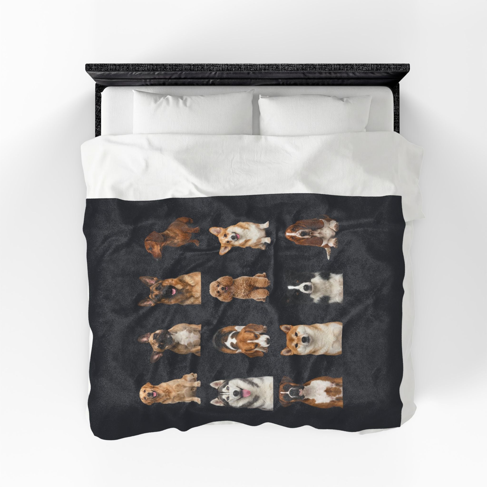 Velveteen Plush Blanket