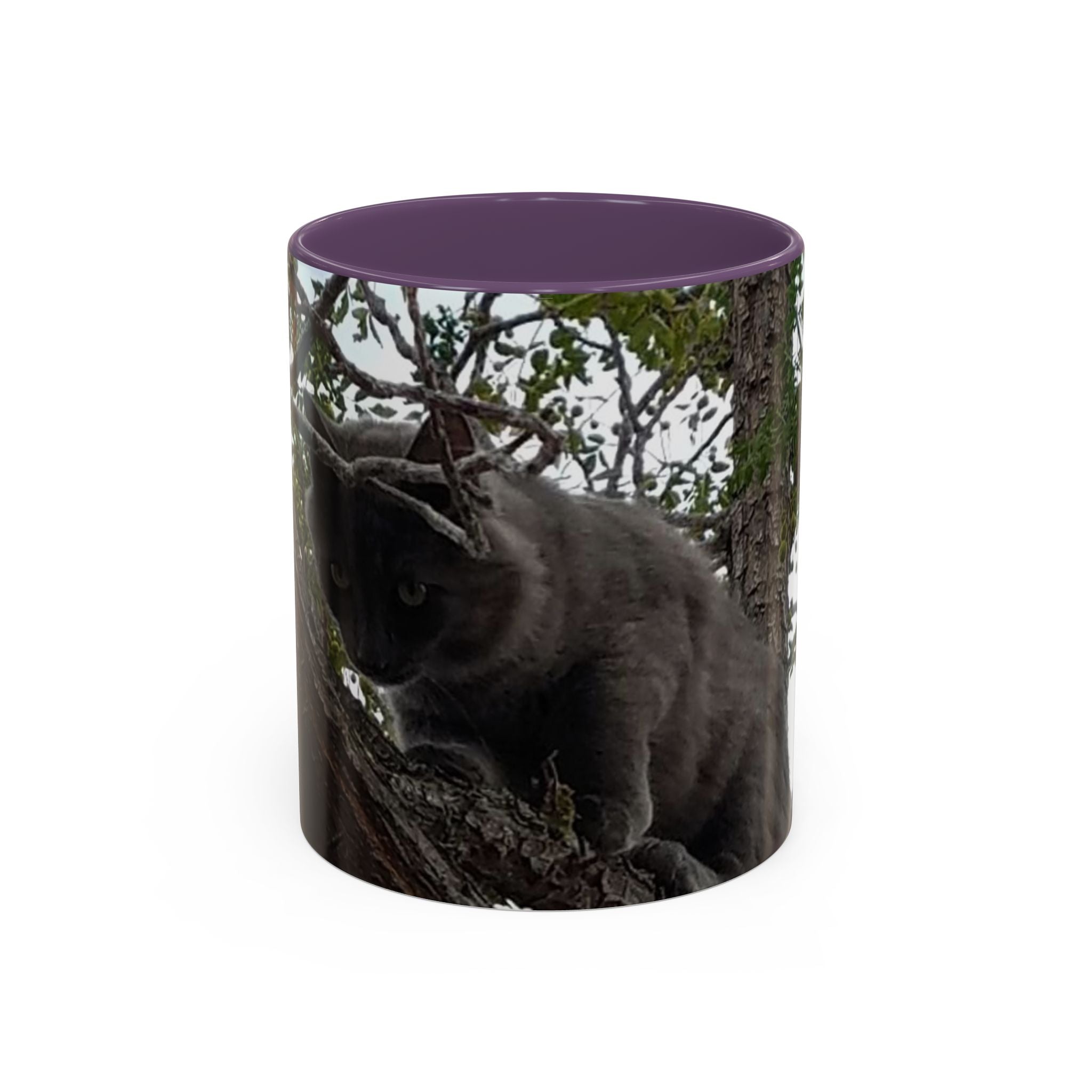Cat in a Tree Accent Coffee Mug (11oz, 15oz)