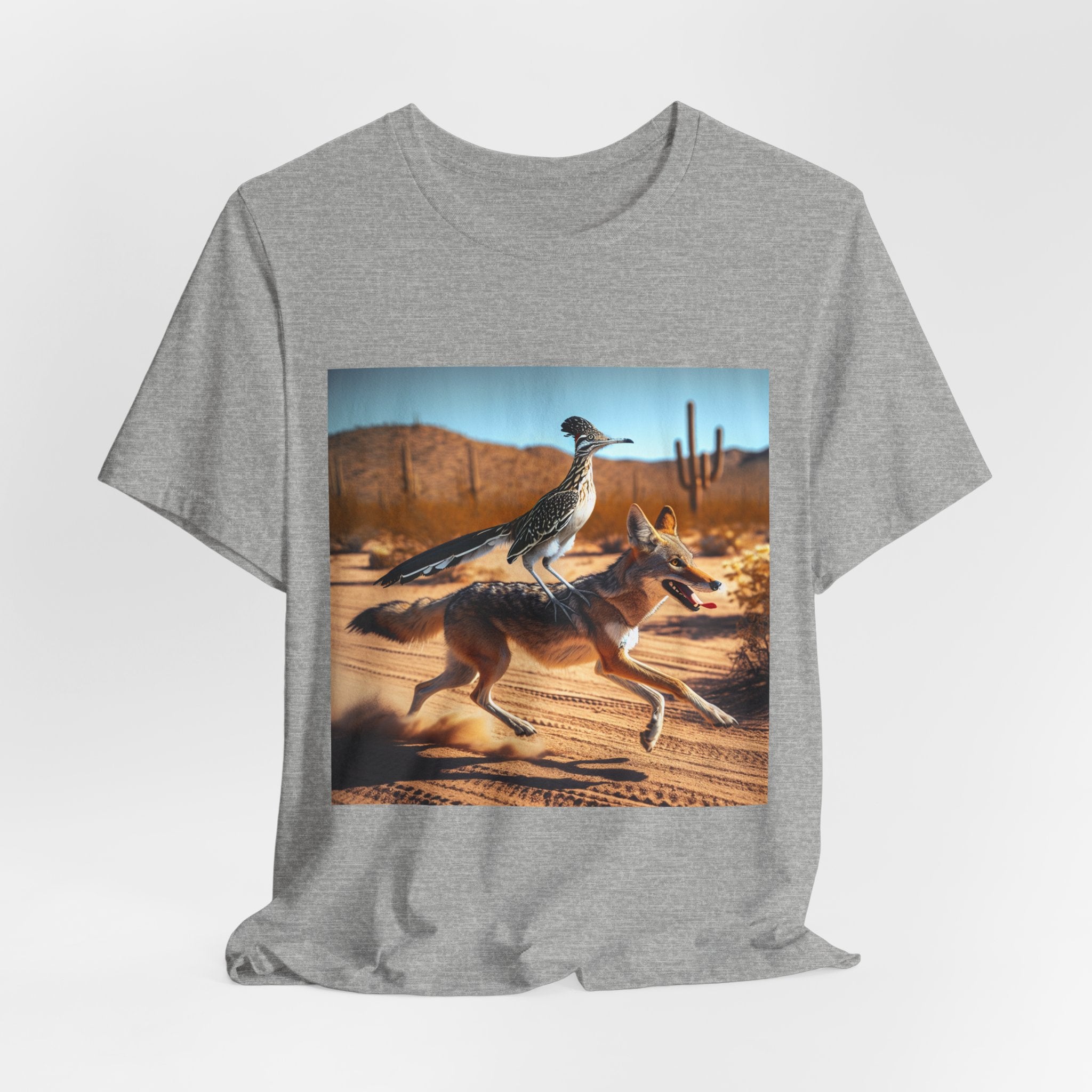 ROADRUNNER AND COYOTE