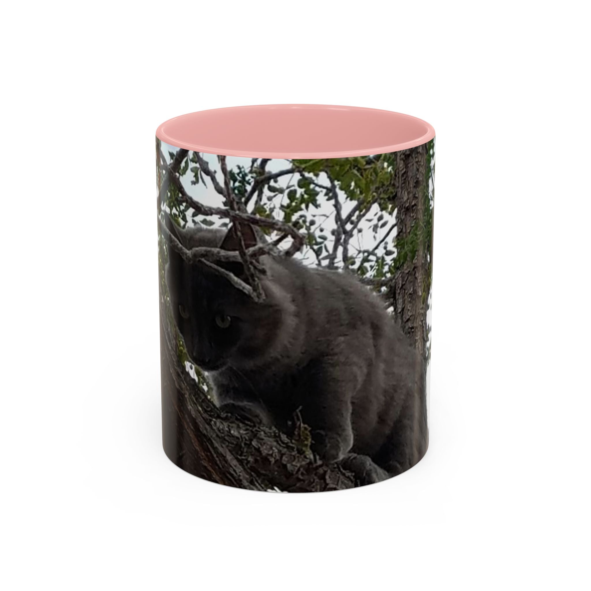 Cat in a Tree Accent Coffee Mug (11oz, 15oz)