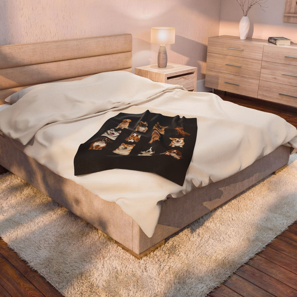 Velveteen Plush Blanket