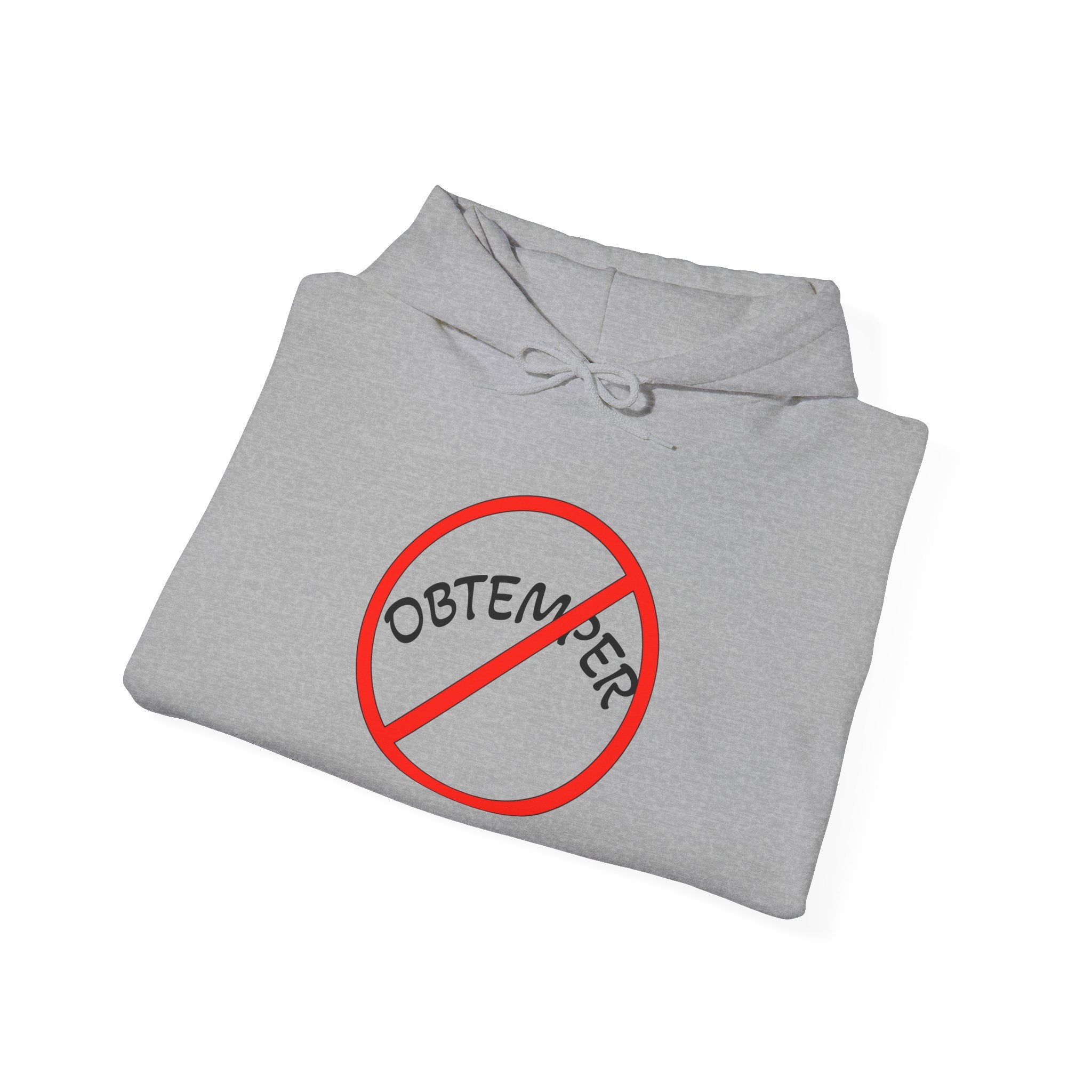 OBTEMPER Unisex Heavy Blend™ Hooded Sweatshirt