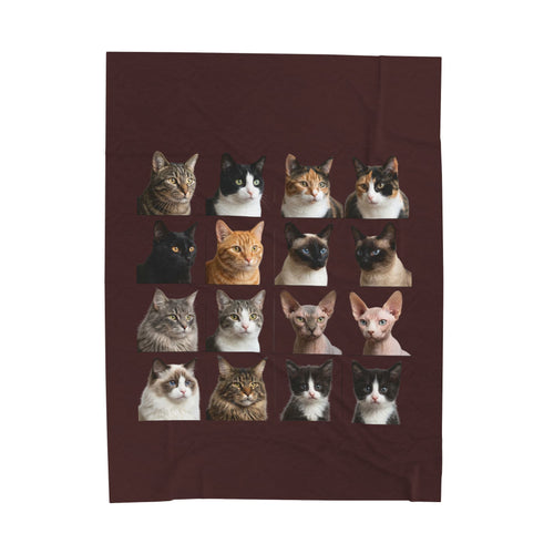 CAT LOVERS Velveteen Plush Blanket