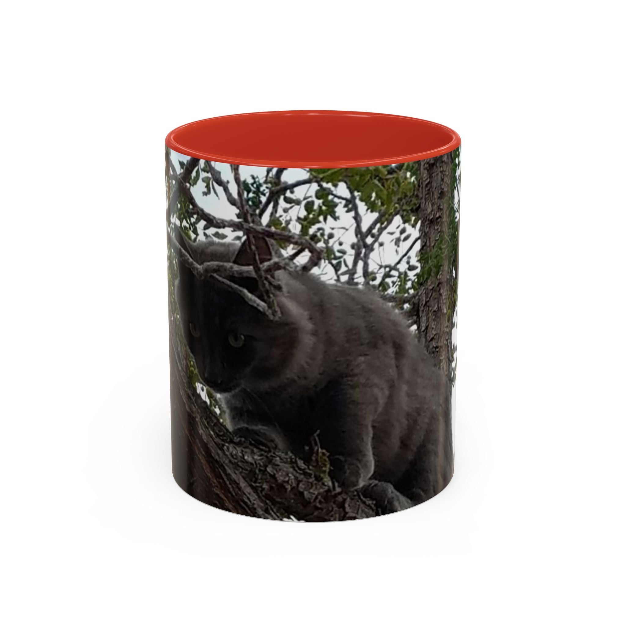 Cat in a Tree Accent Coffee Mug (11oz, 15oz)