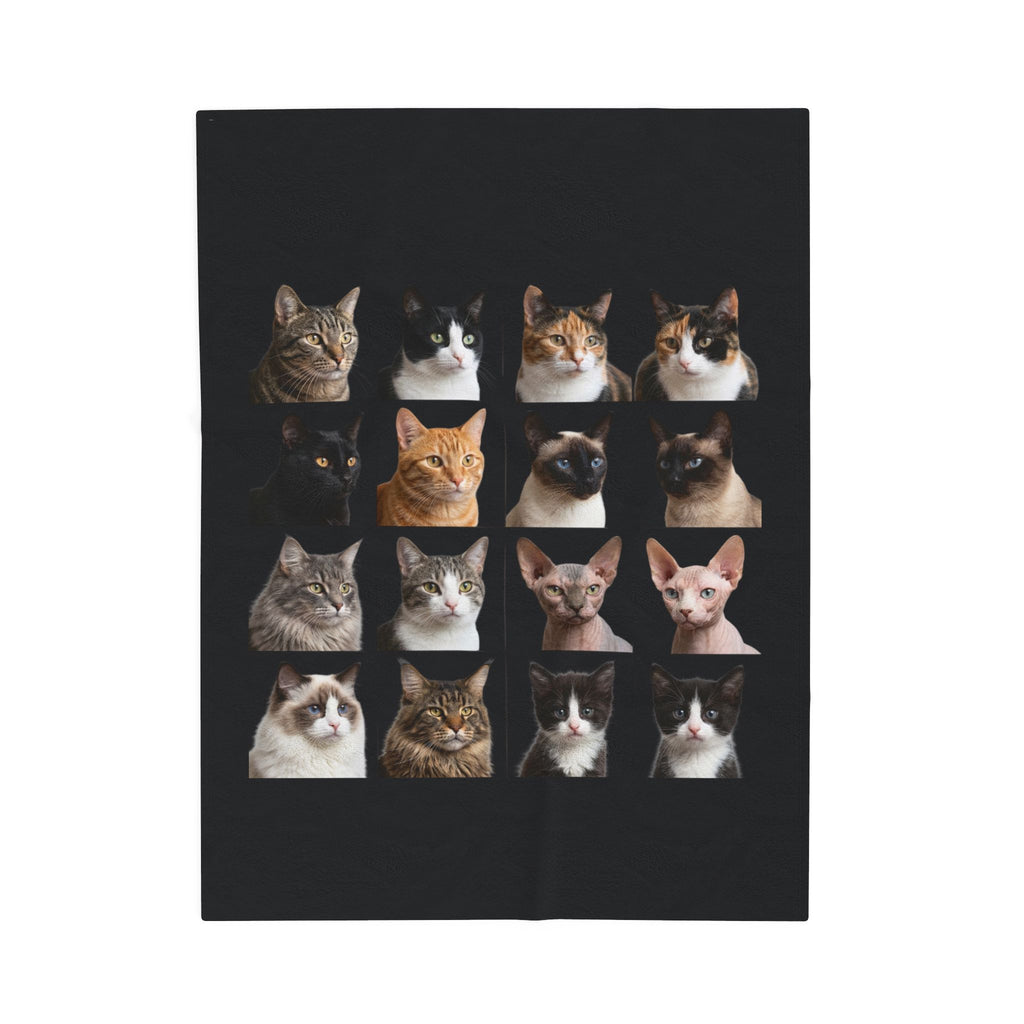Velveteen Plush Blanket