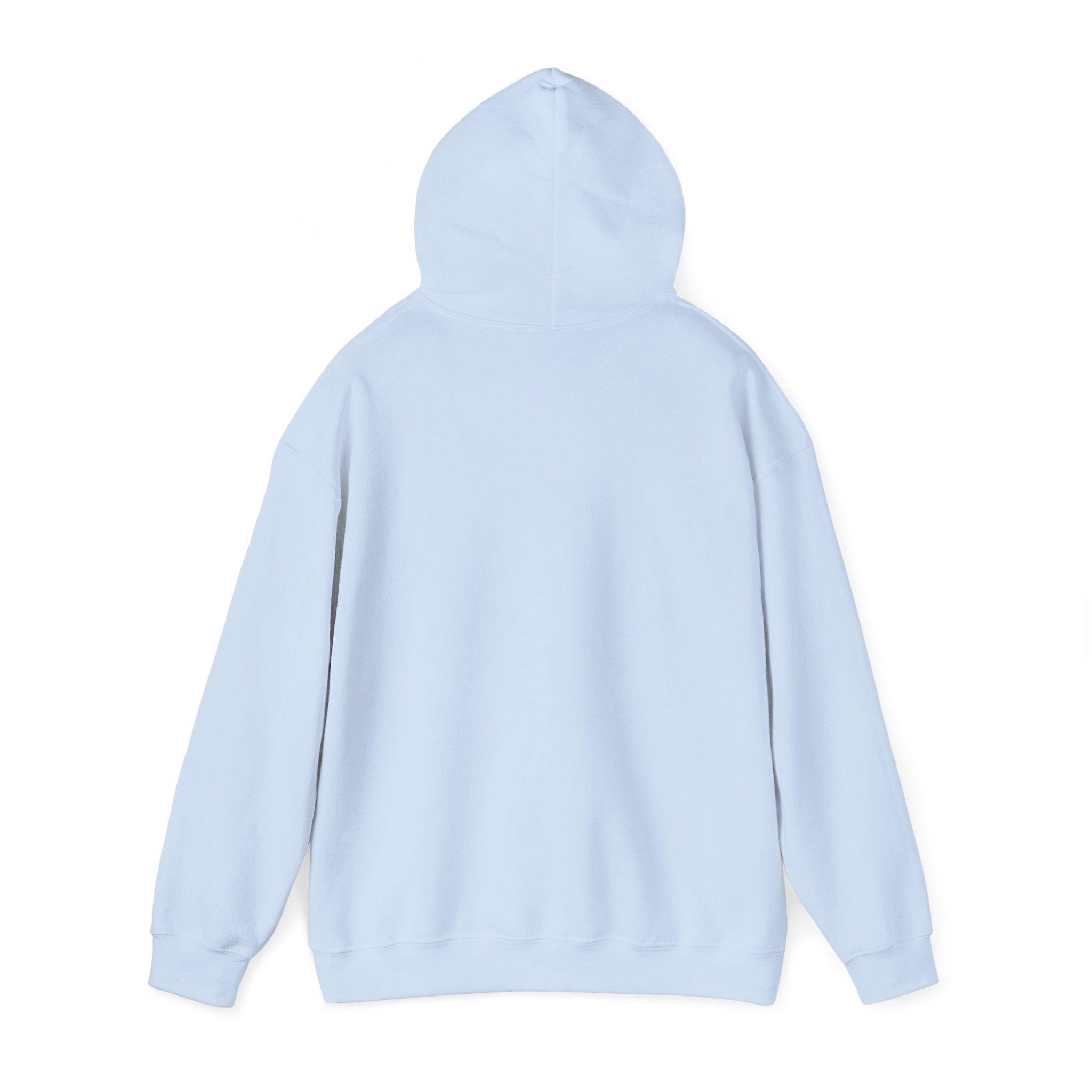 EXQUISITE Unisex Heavy Blend™ Hooded Sweatshirt