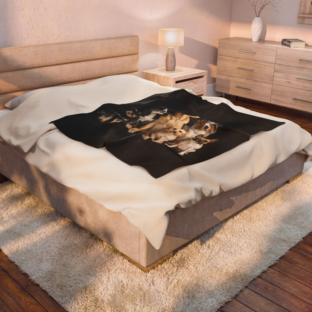 Velveteen Plush Blanket