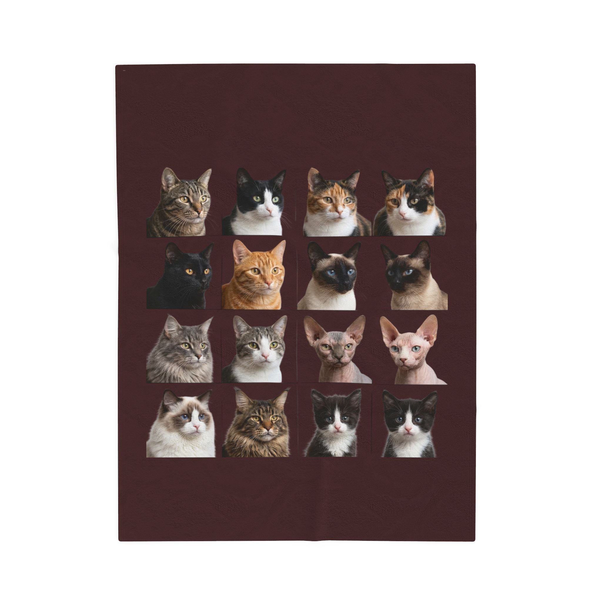 CAT LOVERS Velveteen Plush Blanket