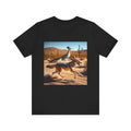 ROADRUNNER AND COYOTE