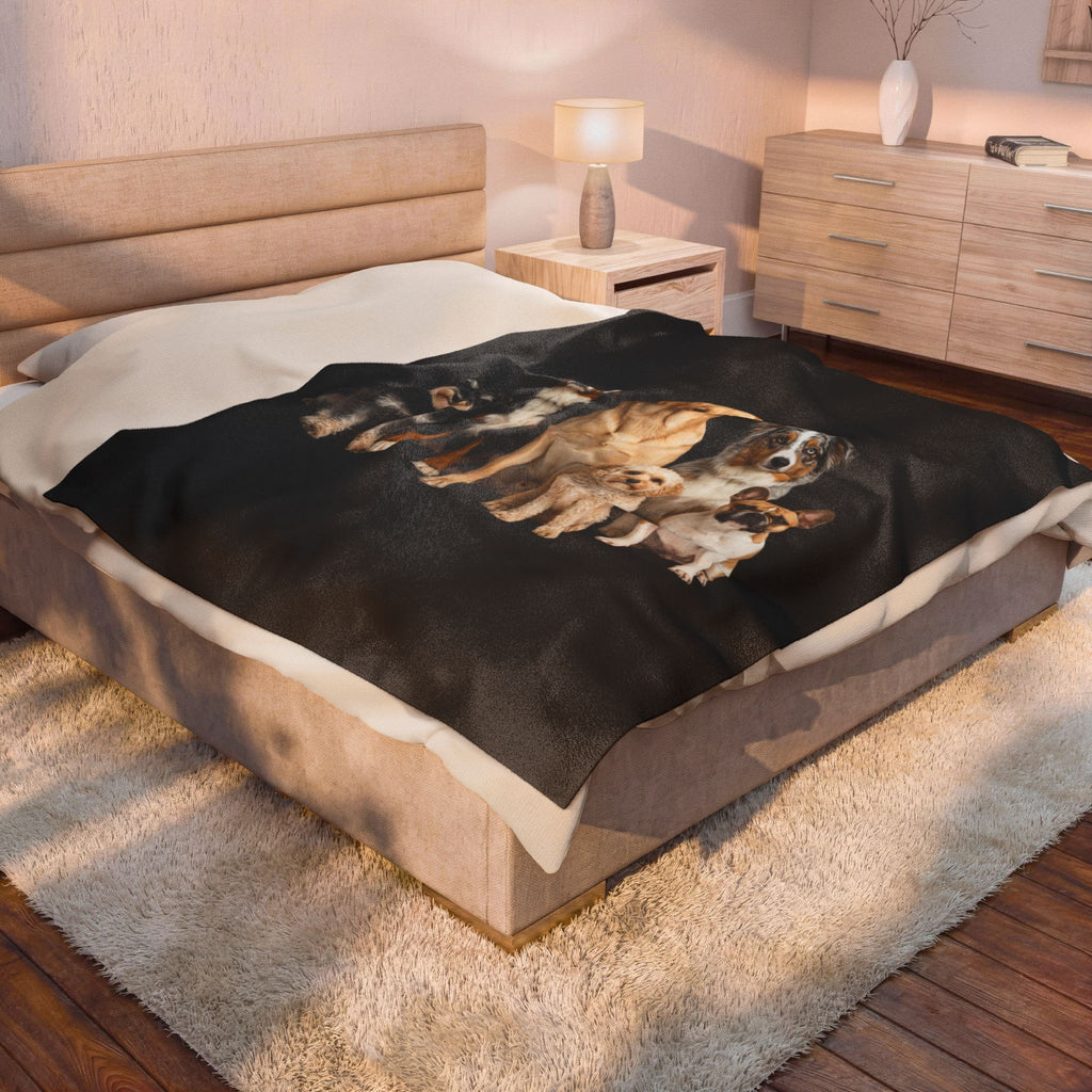 Velveteen Plush Blanket