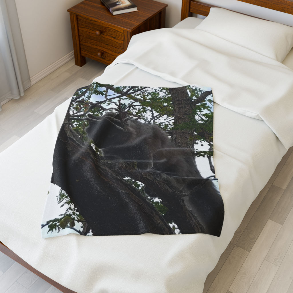 Velveteen Plush Blanket - Cat in Tree