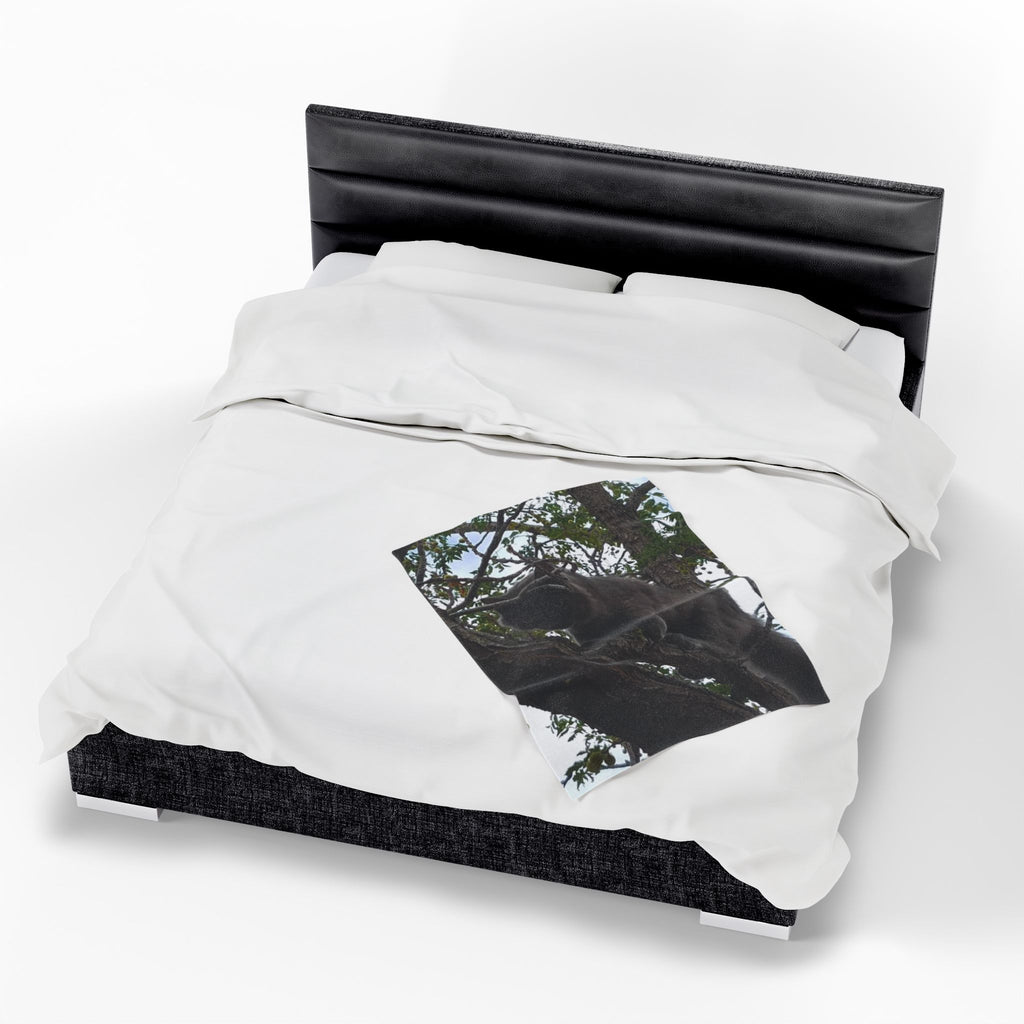 Velveteen Plush Blanket - Cat in Tree