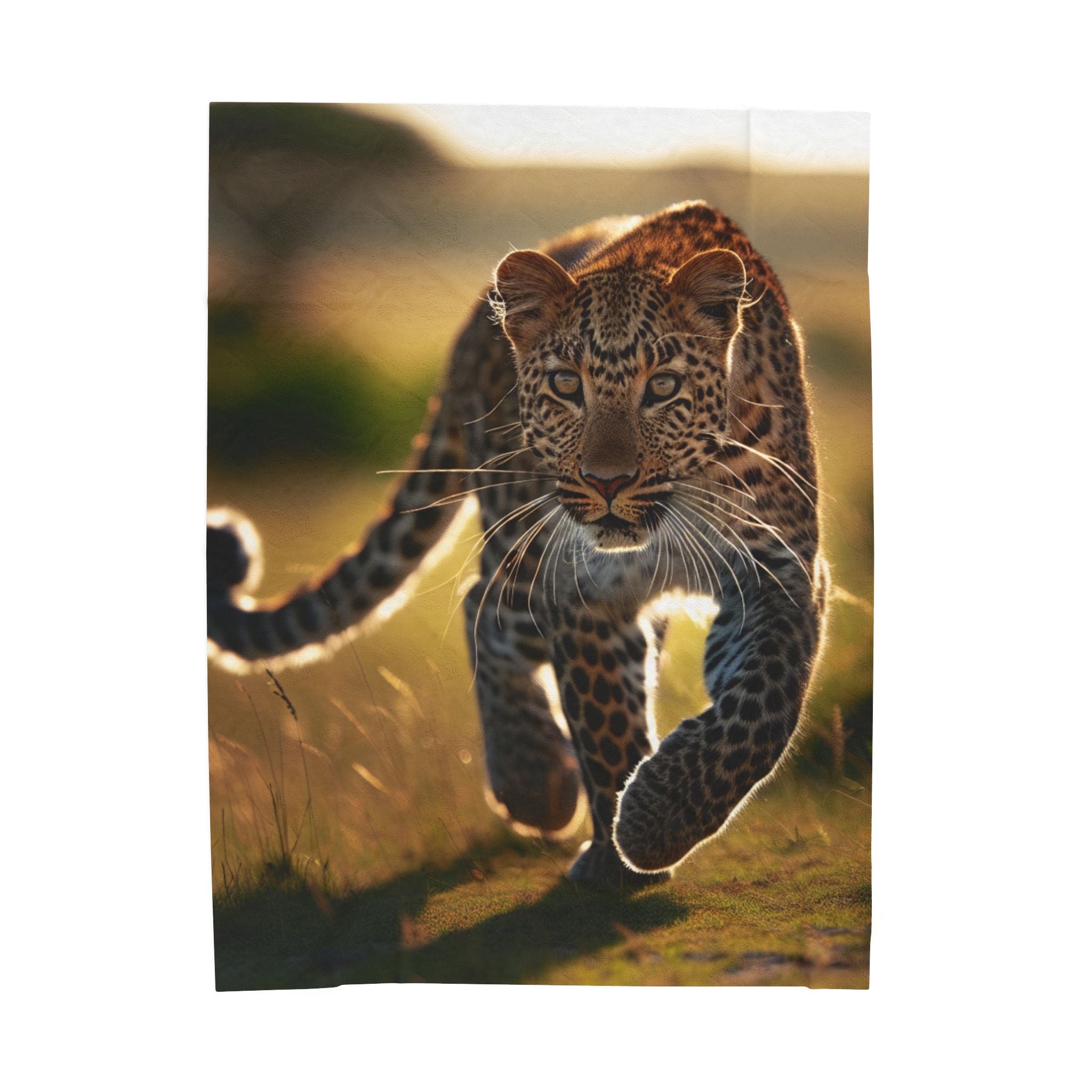 Velveteen Plush Blanket - Leopard