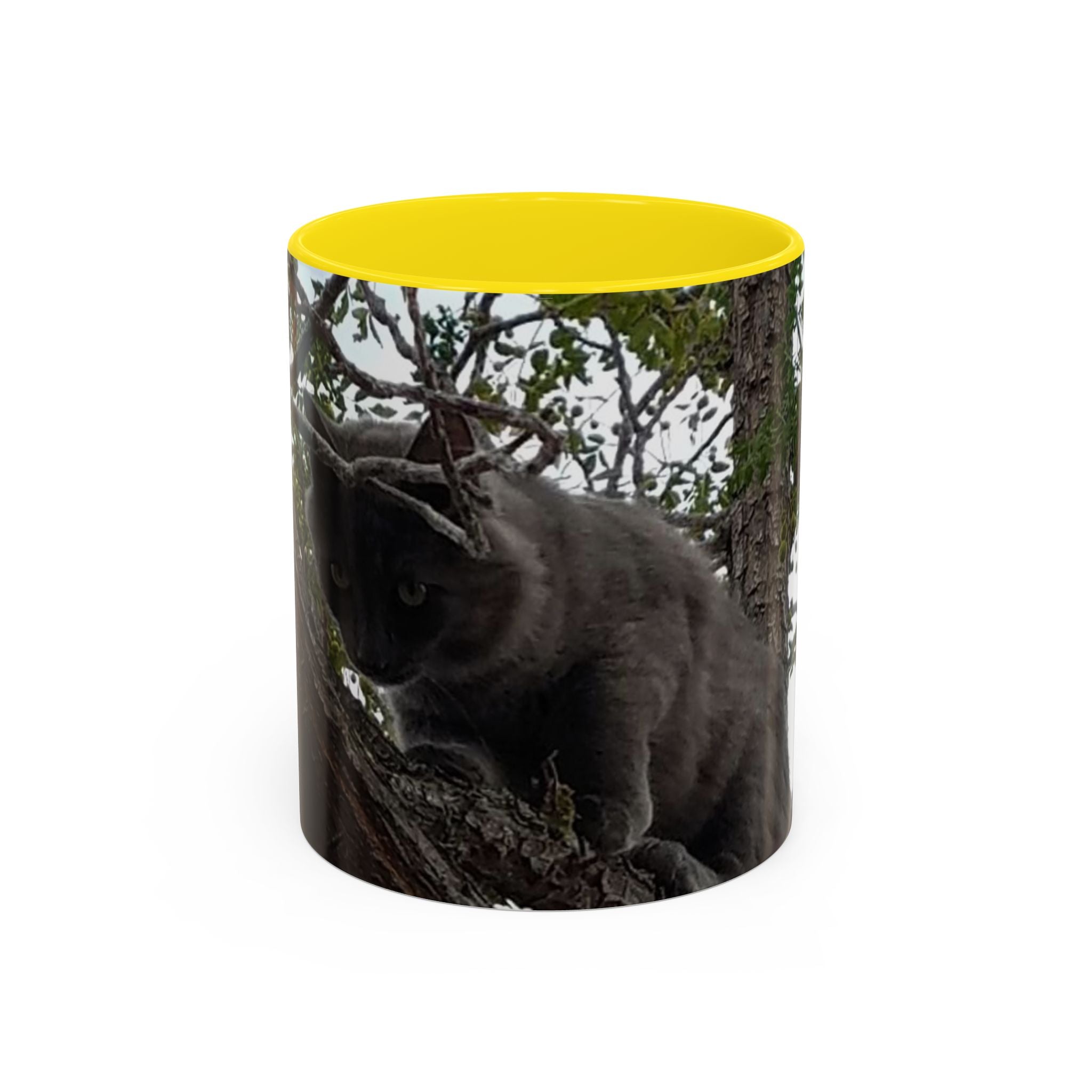 Cat in a Tree Accent Coffee Mug (11oz, 15oz)