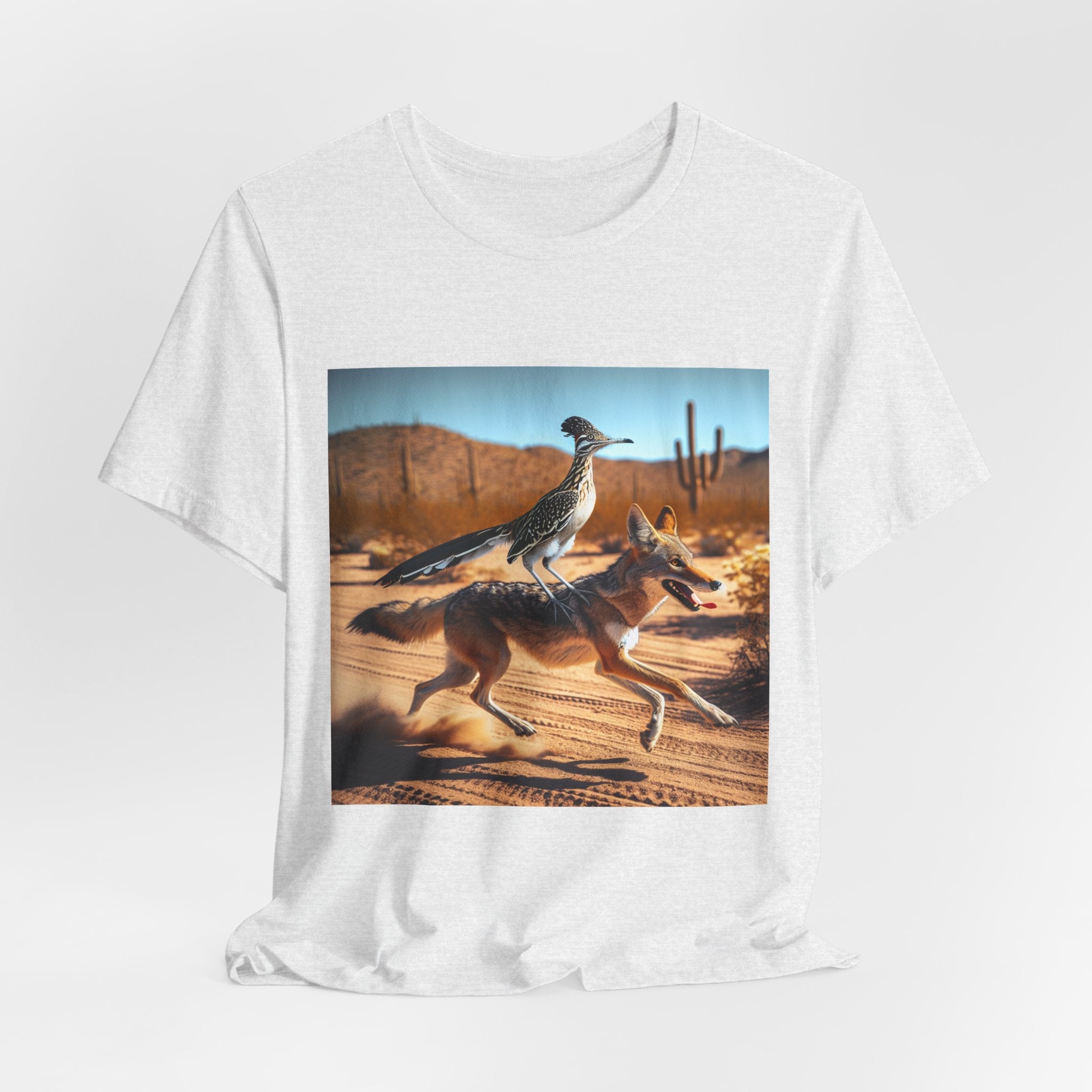 ROADRUNNER AND COYOTE