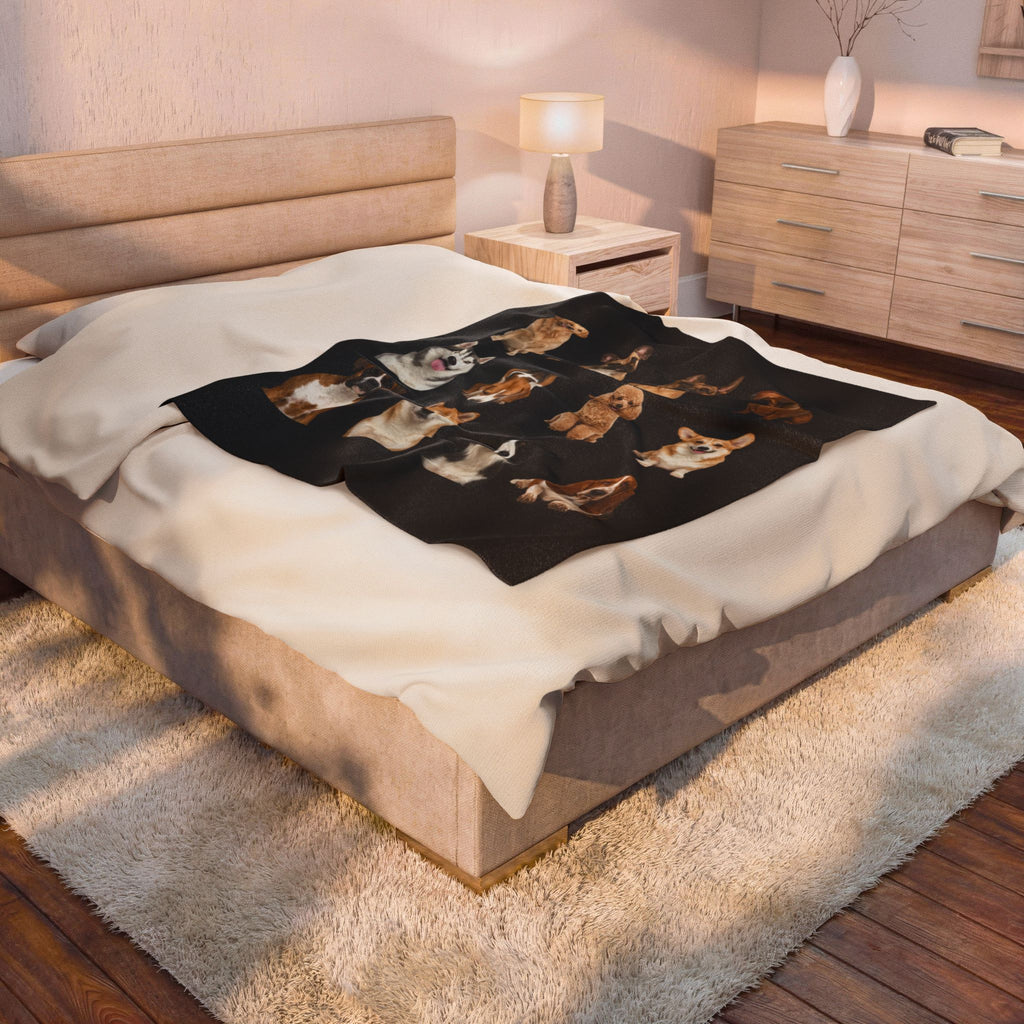 Velveteen Plush Blanket