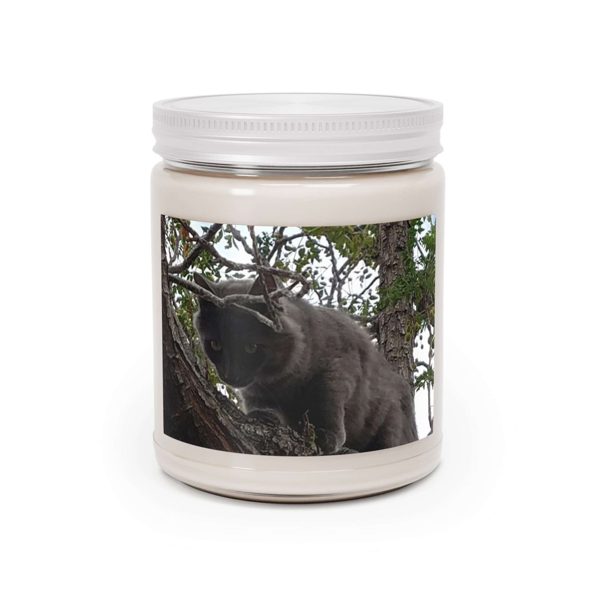 Cat in Tree Scented Soy Candle
