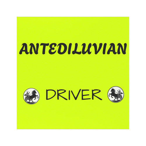 Antediluvian Driver Funny Slow & Steady Car Magnet – Yellow