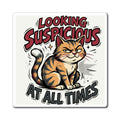 Looking Suspicious at All Times Cat Magnet — Funny Cat Refrigerator Magnet for Cat Lovers